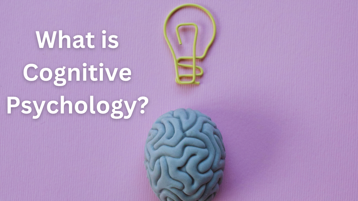 Cognitive Psychology - Definition, History, Topics, & Careers - Fuskal