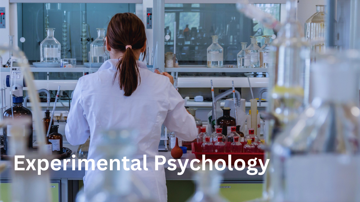 experimental conditions psychology