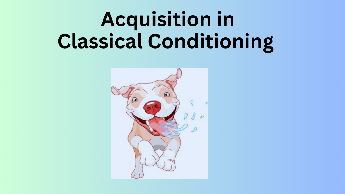 Acquisition In Classical Conditioning: Definition & Examples - Fuskal